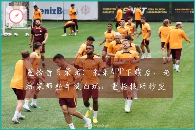 重拾昔日荣光：米乐APP下载后，老玩家那些年没白玩，重拾技巧秒变大神！