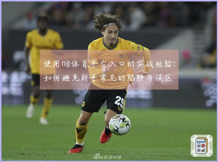 使用ng体育平台入口的实战经验：如何避免新手常见的陷阱与误区